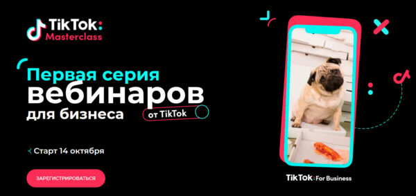 TikTok for Business запускает серию бесплатных вебинаров для предпринимателей в России и СНГ