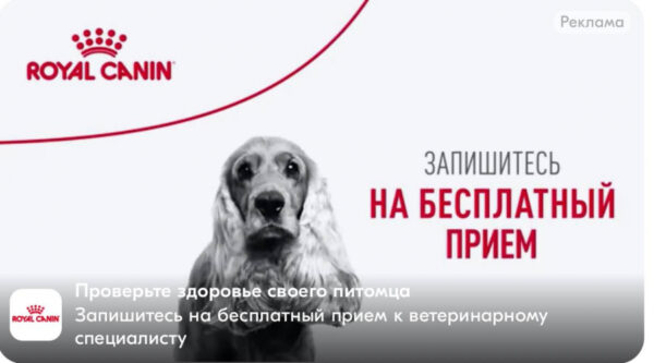 Как законно троллить конкурентов и выкладывать мемы без штрафов